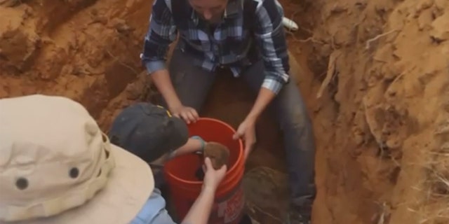 Officials exhumed the skull from a grave in 2017 to retest it with new DNA technology.
