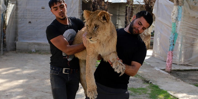 Gaza's only animal care practice which was established 17 years ago faces closure due to economic problems caused by the Israeli blockade.