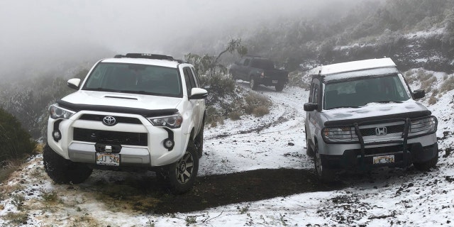 This Sunday, Feb. 10, 2019, photo shows snow on the ground in Polipoli Spring State Recreation Area in Kula, Hawaii on the island of Maui.