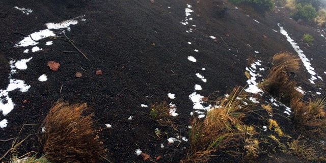 Black volcanic cinders have a dusting of snow at the Polipoli State Recreation area on the slopes of Haleakala near Kula on the Hawaii island of Maui, Monday, Feb. 11, 2019.