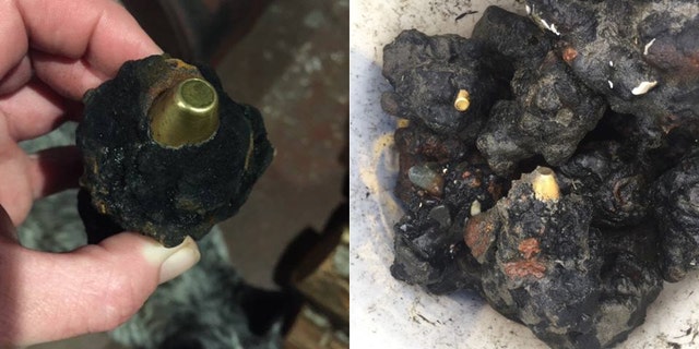 Military rounds dating back to the 1940's have been discovered on beaches in Washington state.