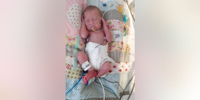 Lisa Davey was actually 26 weeks pregnant and had developed HELLP syndrome - a rare liver a blood clotting disorder that can affect pregnant women -- which then developed into sepsis.