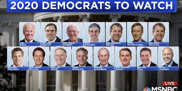 MSNBC slammed for graphic showing only white, male potential 2020 ...