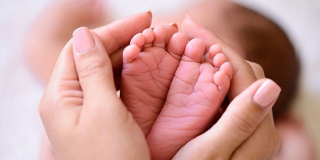 The boy was conceived using a procedure known as Maternal Spindle Transfer (MST), a method in which harmful mitochondria found in the mother’s egg is removed and replaced by the female donor’s.