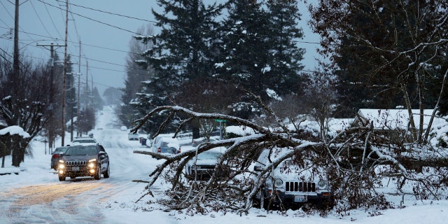 A tree rests on a vehicle, Sunday, Feb. 10, 2019, on a residential street in Tacoma, Wash.