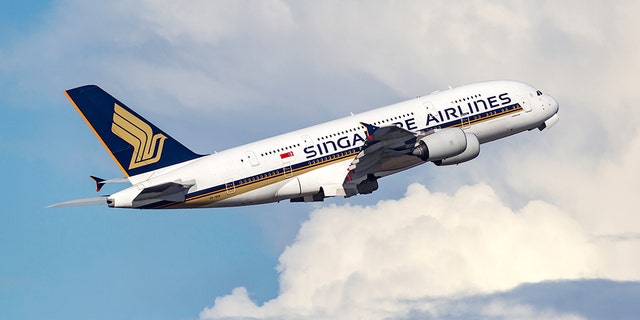 Quite a toothsome dish for one Singapore Airlines passenger.