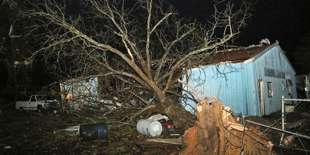 A large tree is in one of the many buildings housing vintage cars at Lawrence Motors on Highway 50 in Columbus, Missouri, after a tornado hit the area on Saturday, February 23, 2019 .