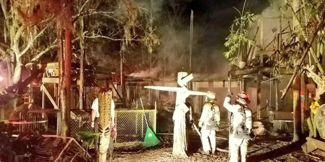 Authorities reported that the owner of the Second Chance Wildlife Sanctuary was sleeping in an upstairs bedroom when he was awakened by his peacocks.