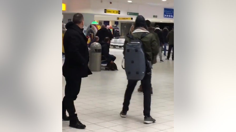 Belfast Airport brawl: passengers spar at gate waiting for their flights