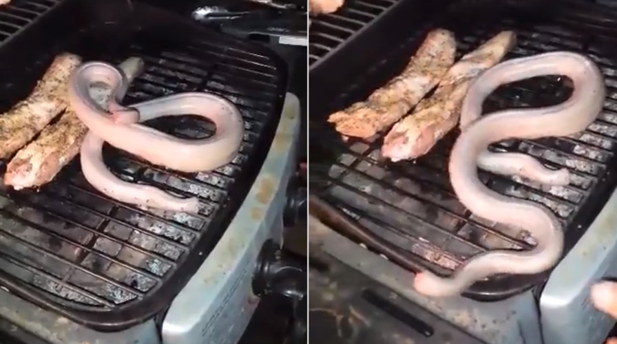 Dead rattlesnake uncoils on grill, surprises Texas hunters: 'Surely he's dead by now!'