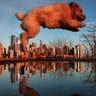 A dog jumps over a puddle in front of the skyline of lower Manhattan at sunset in New York City, Feb. 14, 2019