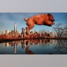 A dog jumps over a puddle in front of the skyline of lower Manhattan at sunset in New York City, Feb. 14, 2019