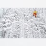 A man climbs up an artificial ice wall located in a courtyard in the city of Liberec, Czech Republic, January 27, 2019. 
