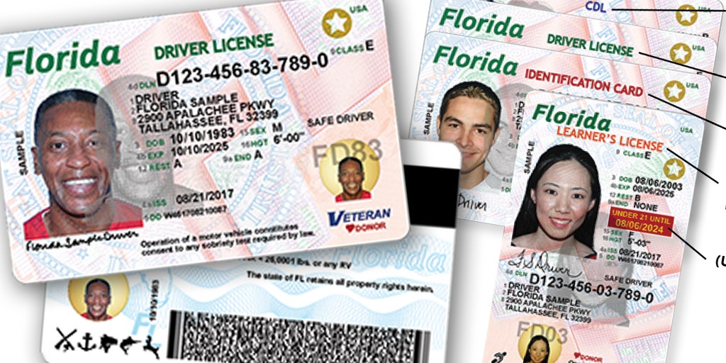fl. drivers license check