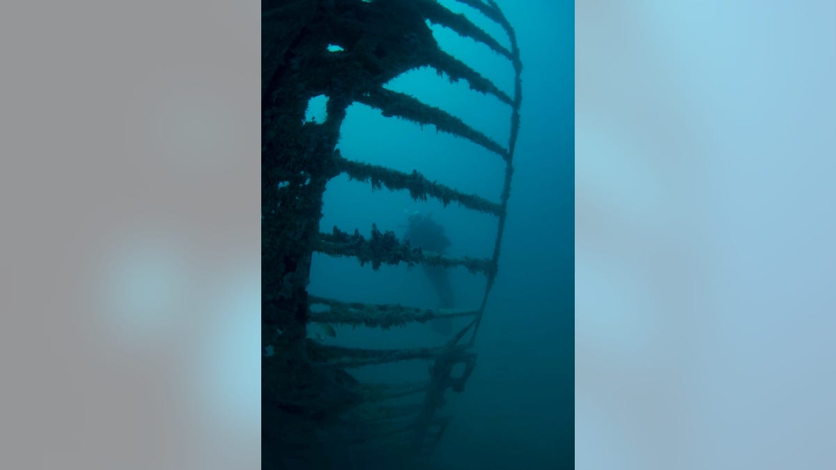 The B-24 bomber crashed into the sea off Bermuda in February 1945. (Courtesy Dr. Philippe Rouja and Dr. Art Trembanis)