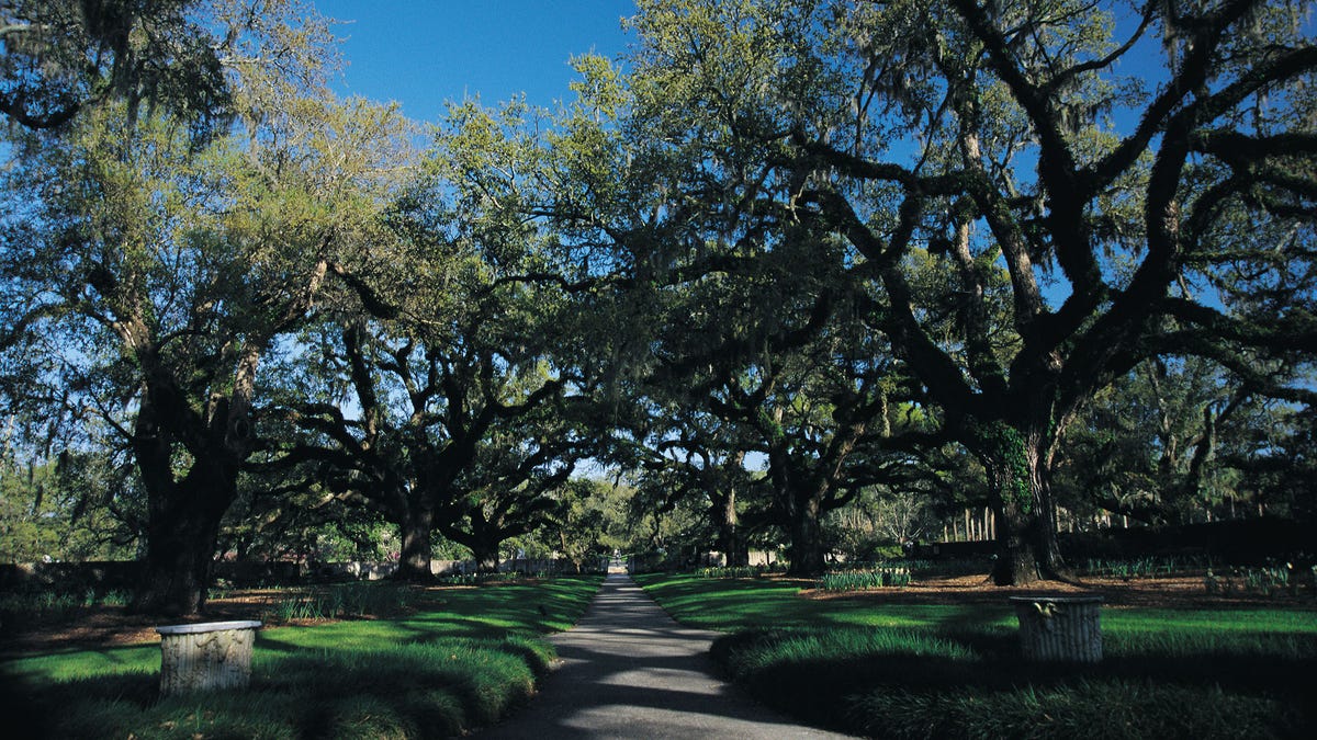 Or visit nearby Brookgreen Gardens, for a more low-key afternoon.