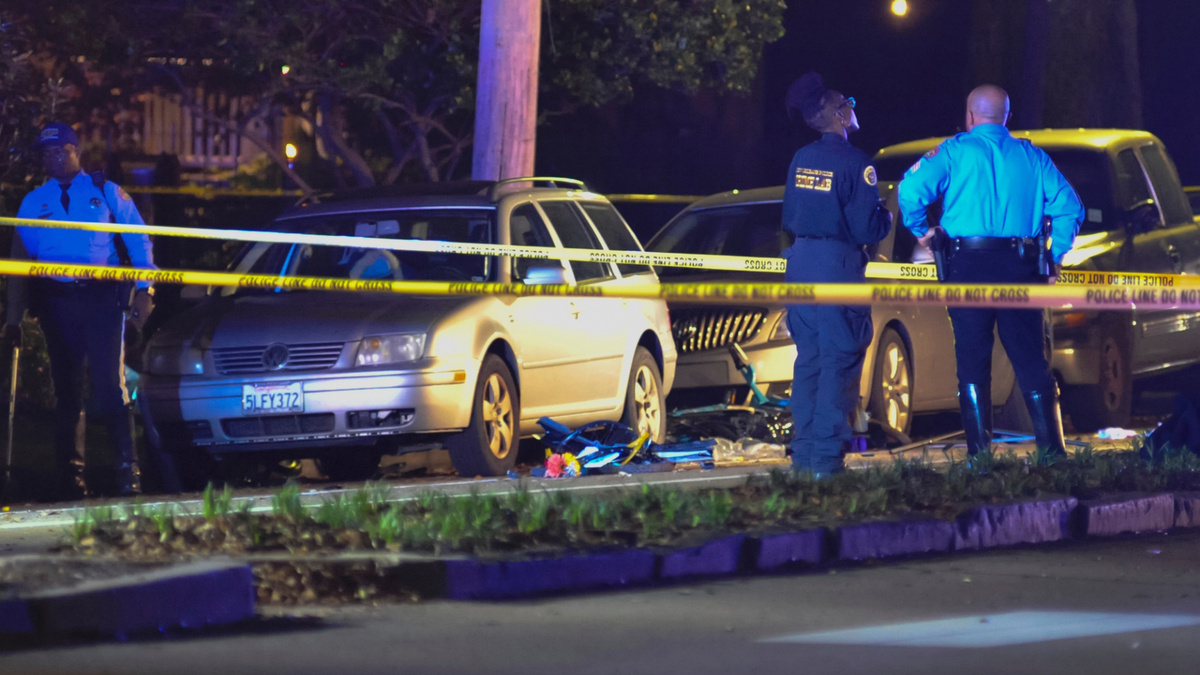 Two damaged bicycles lay in the street as New Orleans Police Department officers respond to a fatal hit and run accident along Esplanade Avenue in Bayou St. John in New Orleans, Saturday, March 2, 2019.