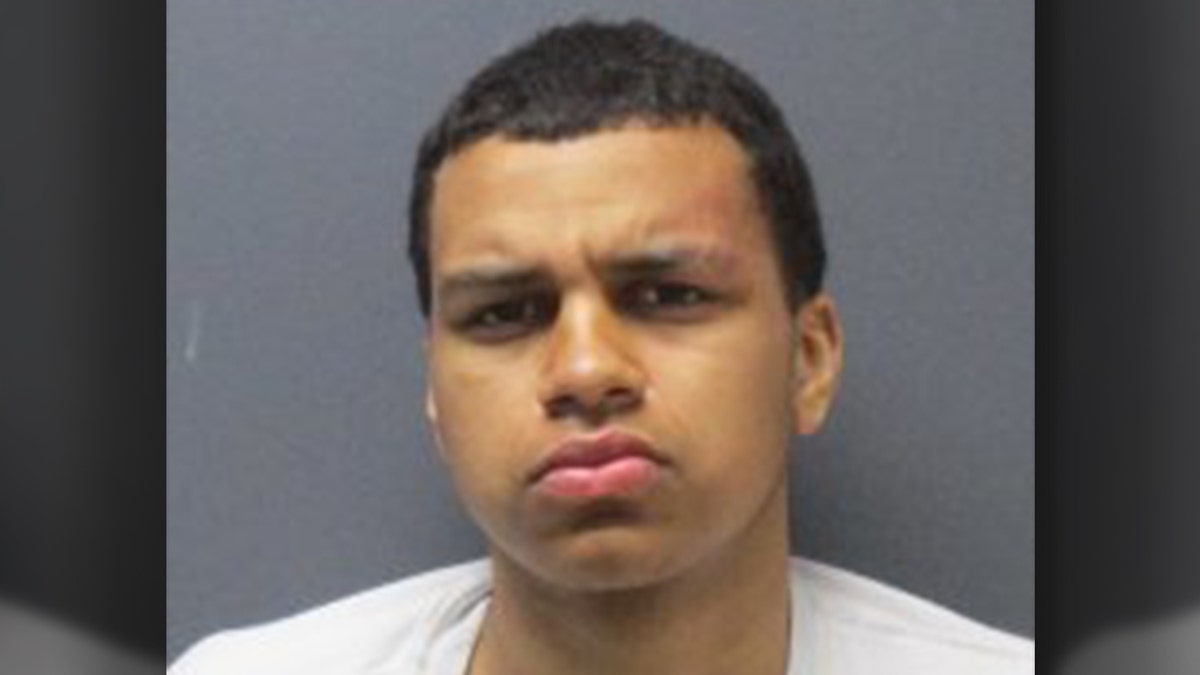 Jonathan Gualpa, 19, allegedly stole a taxi from New York City and drove it to New Jersey to try to visit Six Flags Great Adventure, police said. 