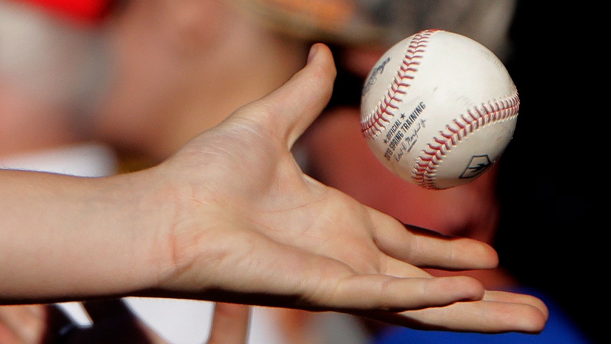 A fan catches a ball thrown into the stands during the fifth inning of a spring training baseball game. (AP Photo/Charlie Riedel)