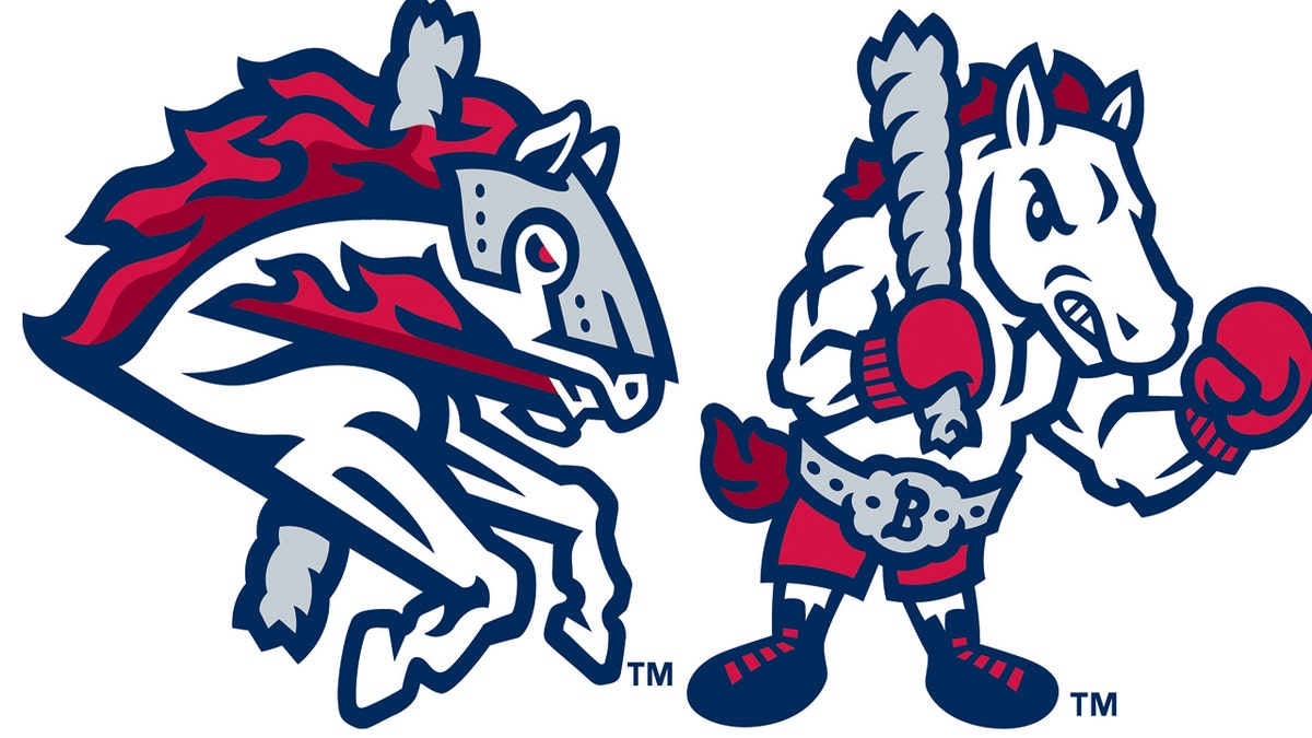 Binghamton Mets changed their name to the Rumble Ponies, this is