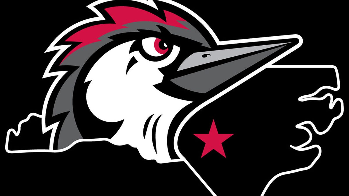 The Woodpeckers will begin their first season in Fayetteville in 2019.
