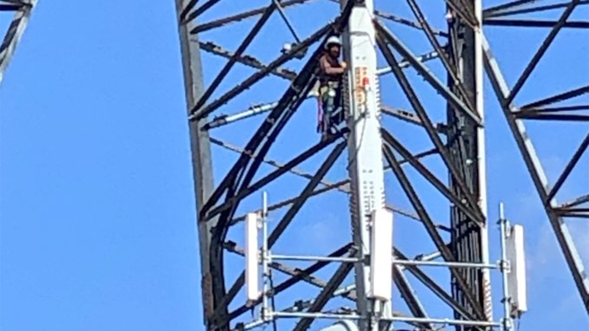 An employee was working on a radio tower in Washington, D.C. on Wednesday when he became hypothermic and couldn't get himself down, officials said.