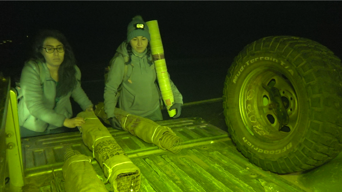 With freezing temperates on the first night of the search, around 10 of the volunteers showed up, including ASU biology graduates Angelica Varela and Brandi Kapos.