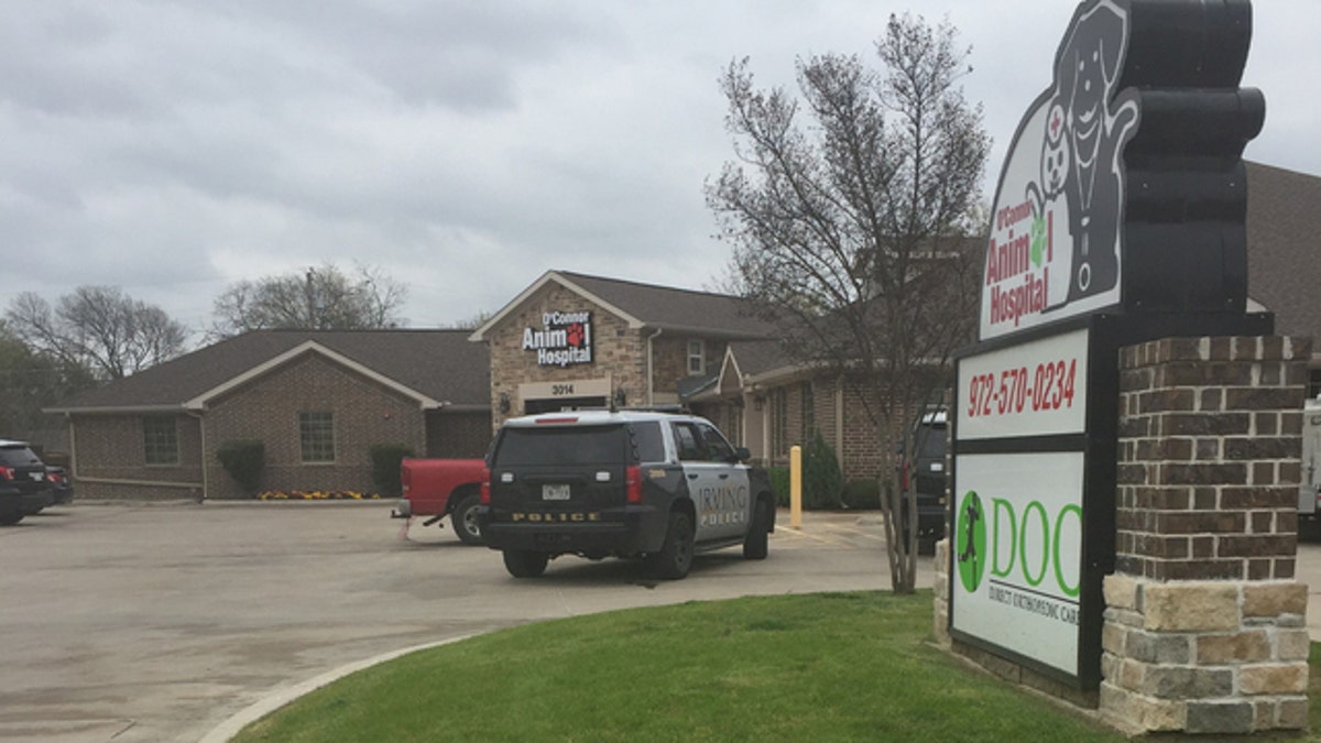 Texas pet owner dead, 'attacked by her two pit bull terriers': police | Fox News Texas pet owner dead, 'attacked by her two pit bull terriers': police | Fox News