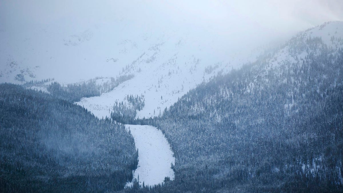 A new avalanche slide path seen below Mount Victoria, Thursday, March 7, 2019, in Frisco, Colo.