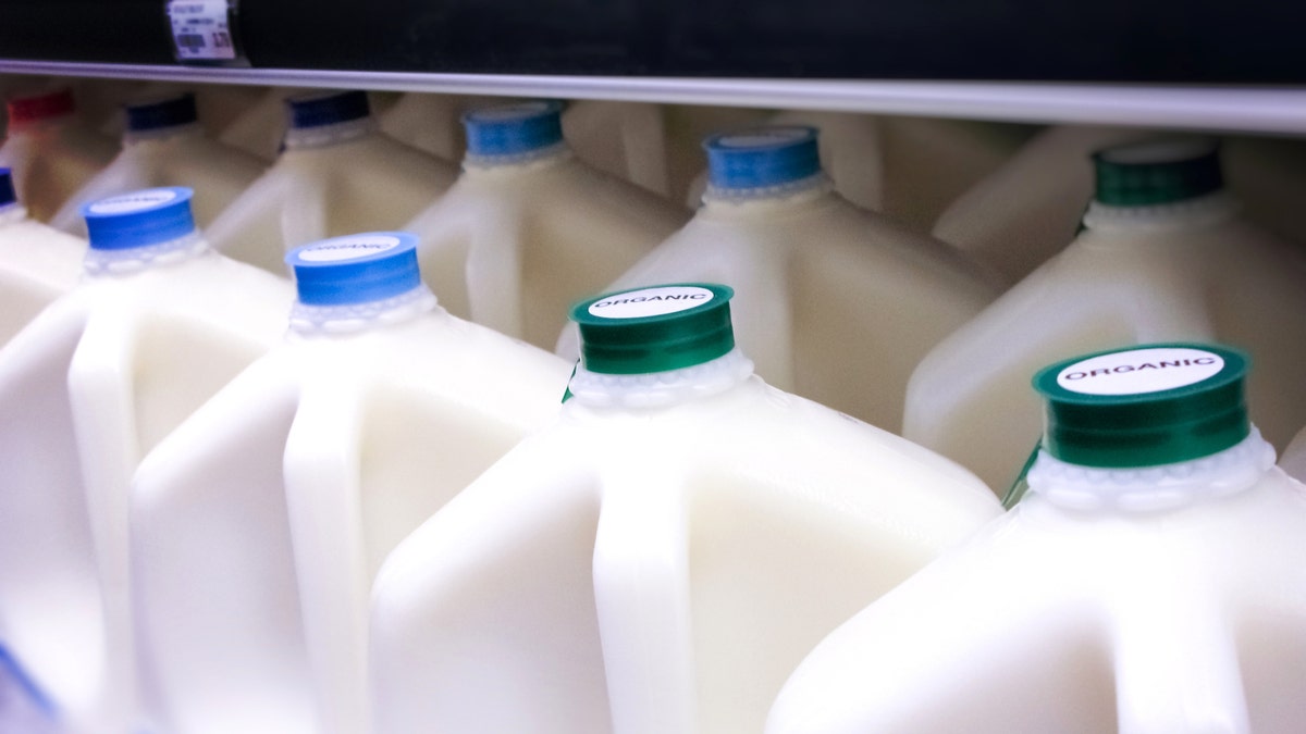 milk on shelves in dairy aisle