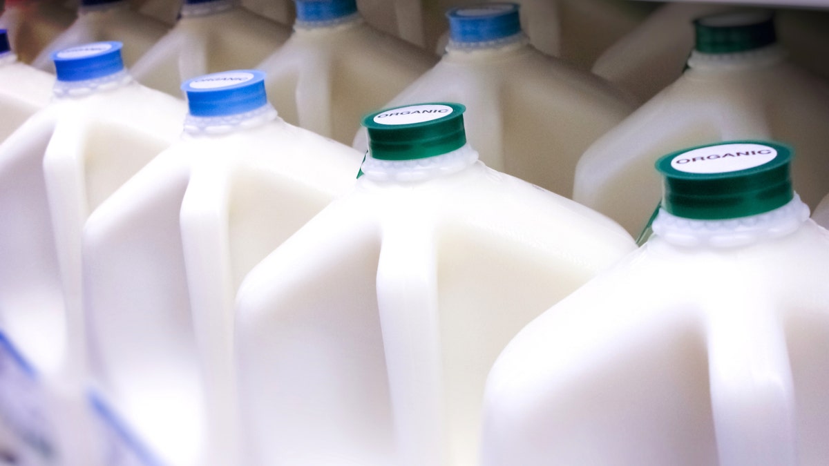 milk on shelves in dairy aisle