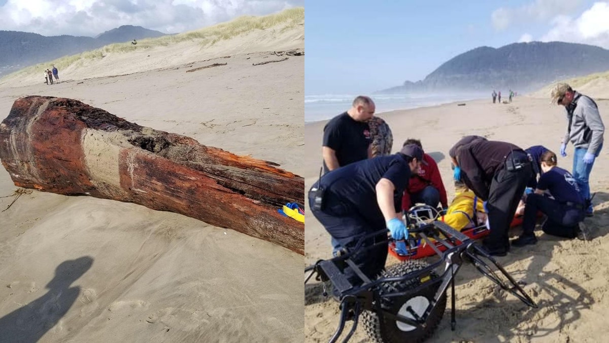 A woman was seriously injured in Oregon after she was on a log that was struck by a sneaker wave on Saturday.