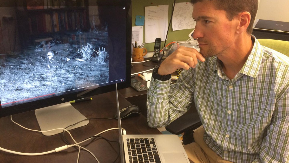 Timothy Higham is an associate professor at UC Riverside. (Credit: I. Pittalwala, UC Riverside)