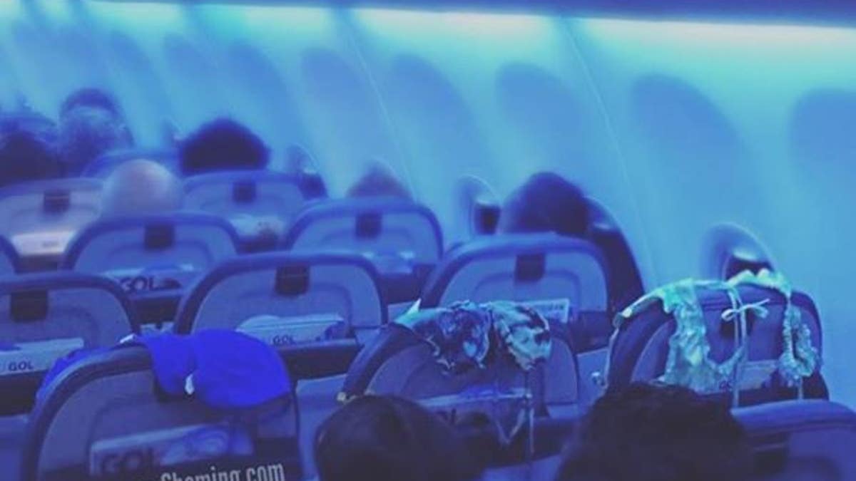 A passenger was caught using the back of three seats to air out three different swimsuits.