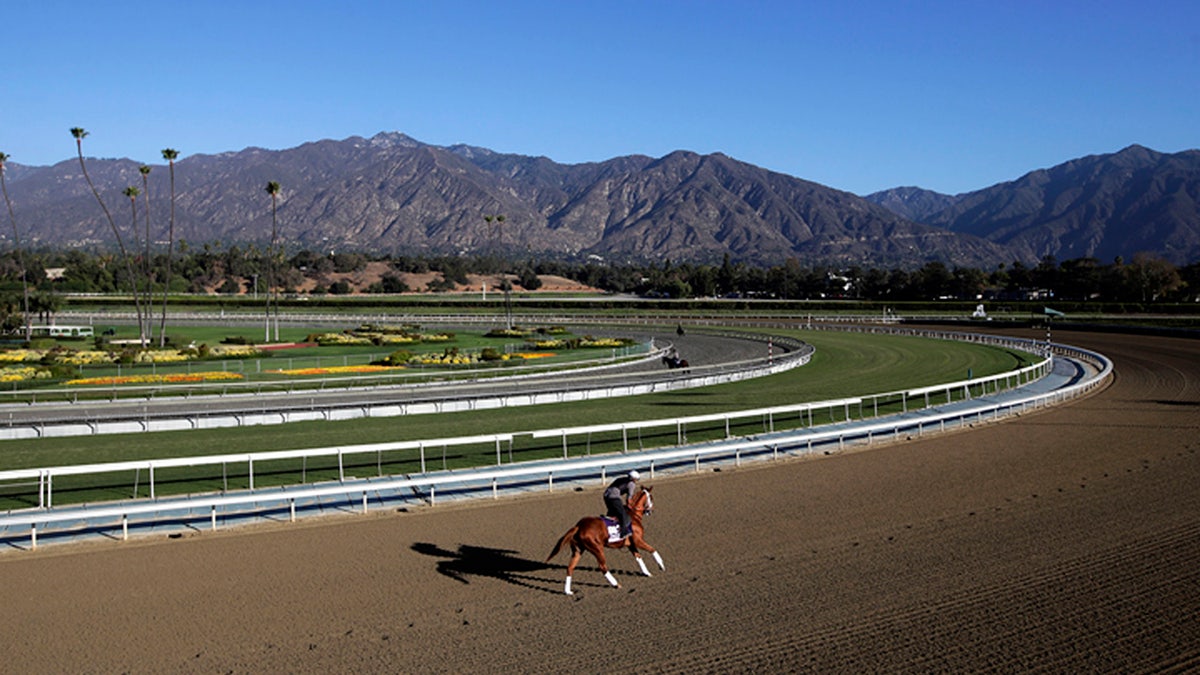 Santa Anita Park has hired experts to evaluate the surface of its race track. (Associated Press)