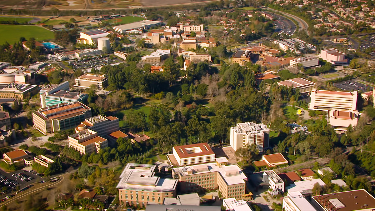 A female student at UC Irvine was stabbed while walking her dog Sunday night.