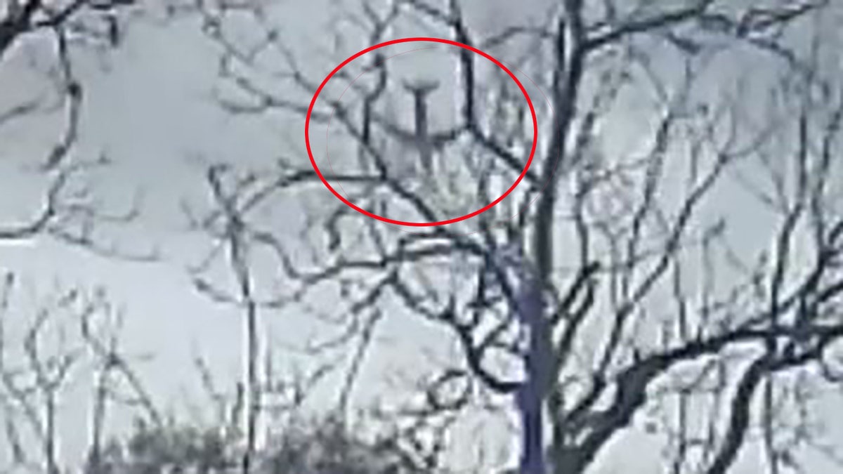 Dramatic video shows the final moments before an Atlas Air jet carrying Amazon packages plunged into a bay in Southeast Texas last month, killing all three men on board.