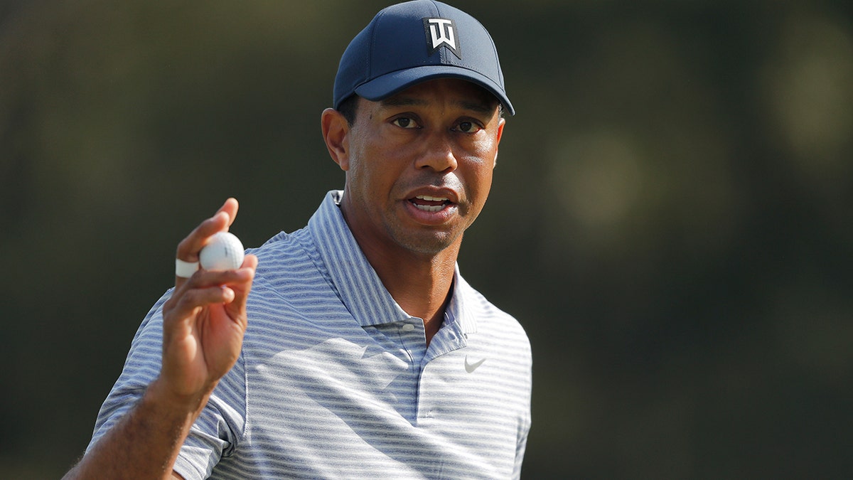 tiger woods to appear at hero world challenge golf tournament fox news
