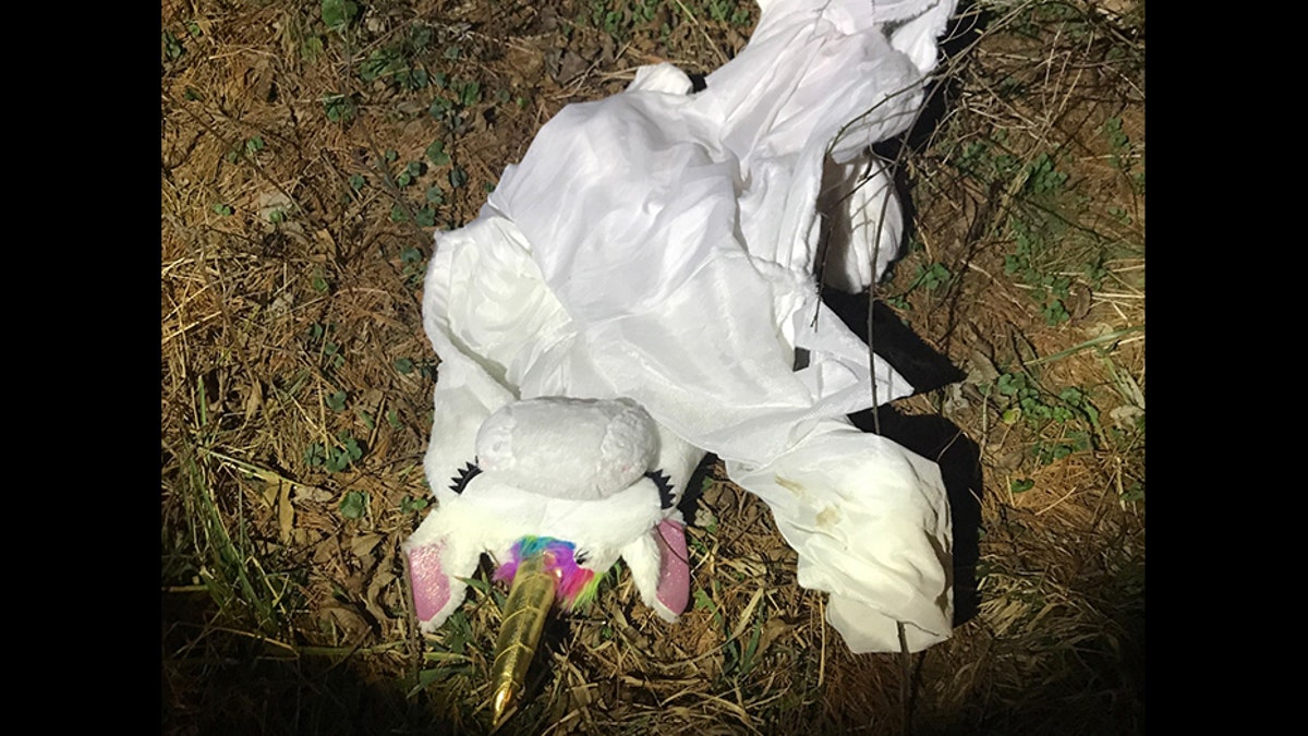 The unicorn costume was found on the side of the road following the robbery, police said.