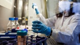young doctor researches in lab