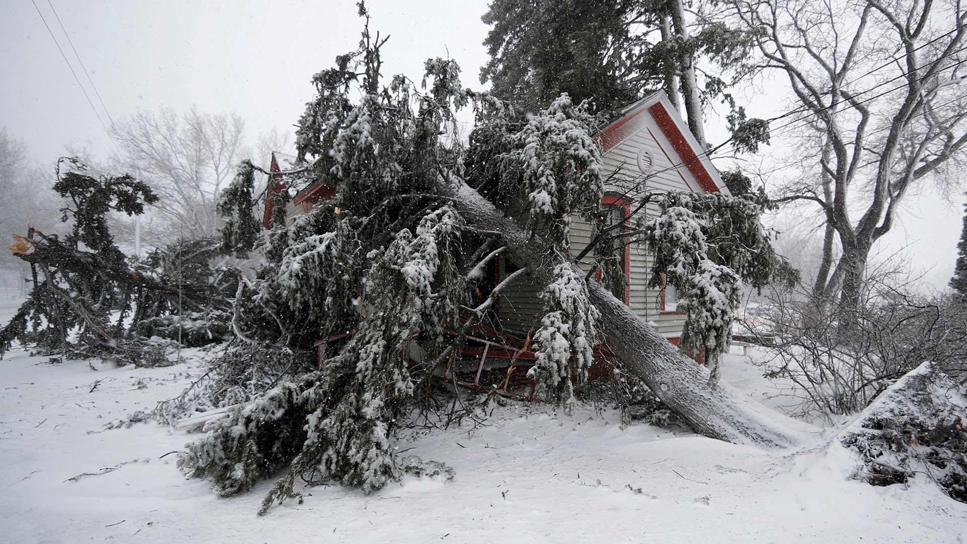Trees snapped by high winds from a late winter storm cover a house in Washington Park, in Denver, March 13, 2019.