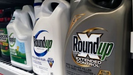 Roundup weed killer substantial factor in California man's cancer, jury rules
