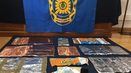 Cruise ship passengers busted for smuggling $2.6 million worth of cocaine in chip bags, bowls