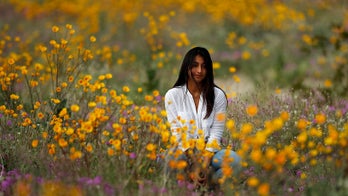 ‘Super bloom’ covers California desert in colorful wildflowers