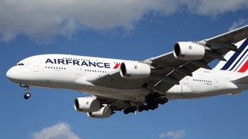 Passenger's dog found dead following Air France-KLM flight