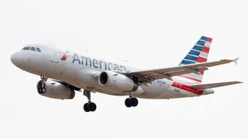 American Airlines flight forced to return to Boston airport after striking flock of geese