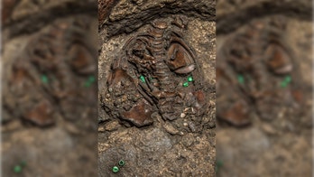 Fossil suggests earliest known movement of humans out of Africa