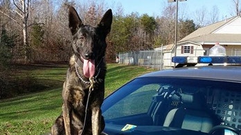 Virginia police dog dubbed hero after finding children lost in woods 'within 15 minutes'