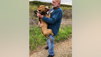 Prize-winning show dog lost at Atlanta airport reunited with owner