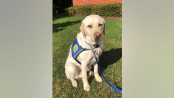 The Daily Spike: Josiah the Wonder Dog lends a paw to kids in need